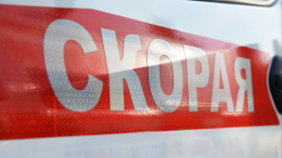 Мальчика, которого покусали хаски, перевезут в Москву на лечение